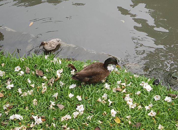 20190518_135038