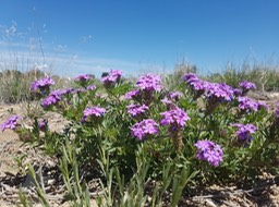 20190530_122935