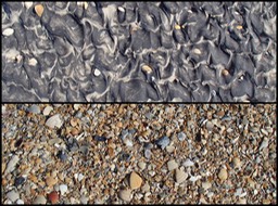 Beach1