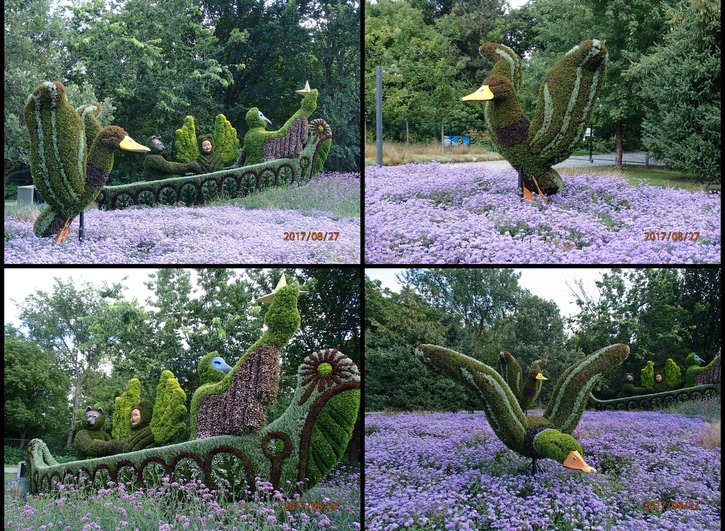 duck collage