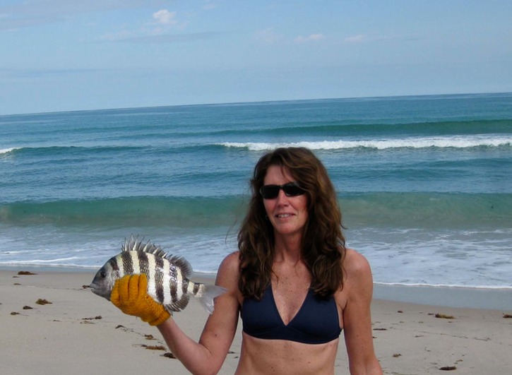 First Sheepshead caught in the surf