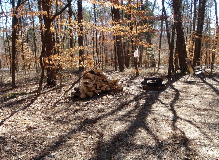 Free firewood, split and delivered