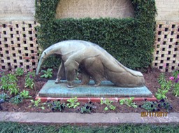 Great Anteater