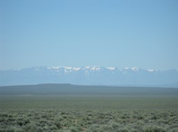 IMG_2329