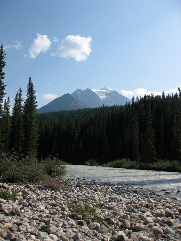IMG 3750.JPG