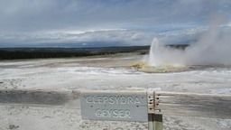 IMG_8508