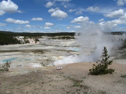 IMG_8965