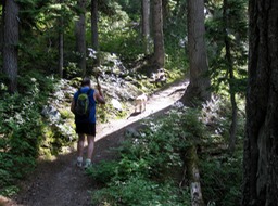 Marion Lake Trail2