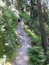 Marion Lake Trail3.jpg