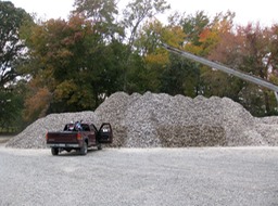 Mountain of oyster shells