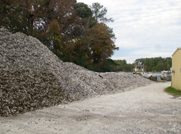 Oyster mountain at seafood market