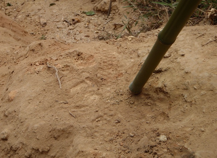 P4260089