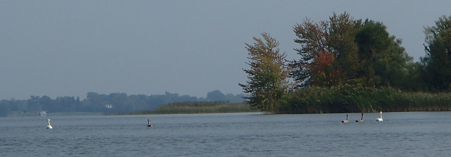 P9160019a.jpg