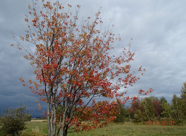 PA070065