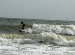 Surfer dude