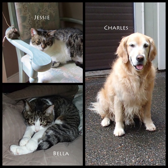 The kids.jpg